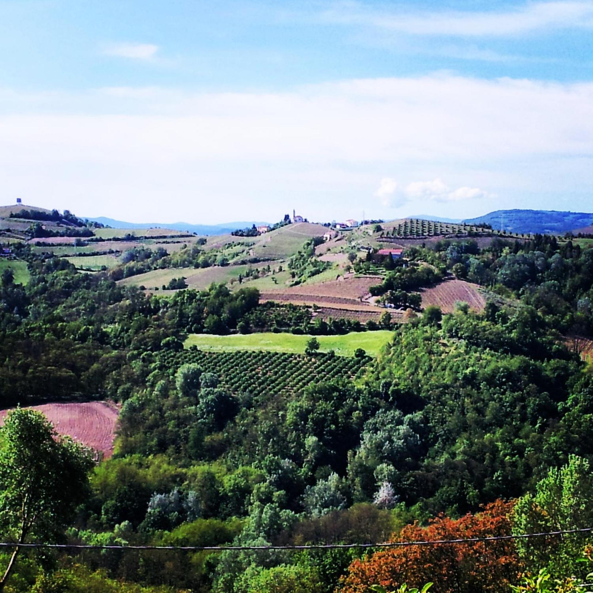 Bed And Breakfast Val D'Oche Castel Boglione Exterior foto